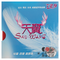 Counter Tianjin Friendship 729 Tianyi Super Light Table Tennis Reverse Adhesive Glue