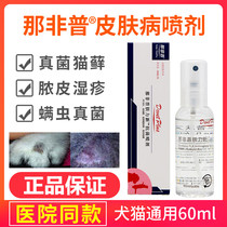 Pet dog dog skin disease Cat Moss cat ringworm fungus bacterial infection red and swollen hair removal dander erythema pus skin spray