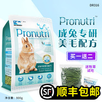Dr. Bunny rabbit adult rabbit specializing in beauty wool formula grain 900g rabbit deodorant beauty wool DR316