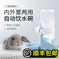 Pinto Gao same licking water bowl rabbit chincho guinea pig automatic drinking water bowl silent kettle 500ml