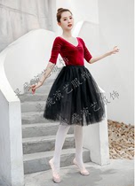 Adult long ballet skirt half-cut gown skirt TUTU skirt photo show dress