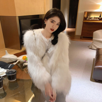 2021 Winter new fur coat womens short environmental protection fox fur raccoon hair fashion hair coat young models