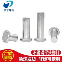 304 stainless steel flat head rivet solid percussion GB109 flat cap nail 2 2 5 3 4 5 6 8 manufacturer
