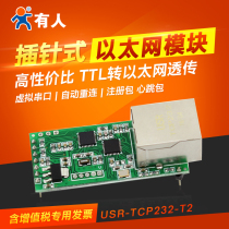 Serial port to Ethernet module network to serial port module RJ45 to TTL network port someone TCP232-T2