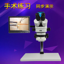 High-definition surgical practice microscope animal experiment anatomy hand surgery ophthalmology neurology practice microscope