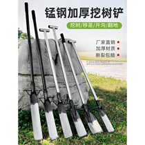 Tree digging shovel all manganese steel thickened Luoyang outdoor agricultural special seedling root cutting tool digging soil pit bamboo shoot artifact shovel