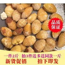 White kernel ginkgo peel dry shelling natural 1000g ginkgo nut raw white flesh no Shell no sulfur