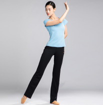 Danshi Ge North Dance Students Practice Pants Dance Pants Straight Pants Men and Women Dance Charts Pants 3752 Nylon Flat Pants