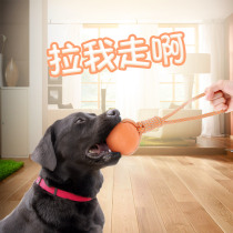  Dog toy ball Bite-resistant belt rope training dog ball Horse dog training Dog training Pet large dog guide Teddy dog playing ball