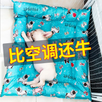Dog ice mat summer pet mat cat cooling pad resistant to bite ice den summer dog mat sleeping mat