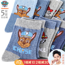 Wang Wang Team childrens socks spring and autumn cotton socks warm boys boys boys children children baby socks