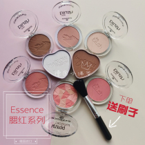 Spot German imported essence blush repair Rouge matte mosaic oil control plant extraction New