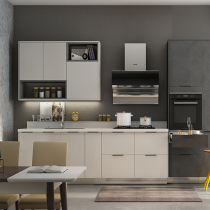 Zhibang-Peninsula Iron Box Modern Cabinet Package