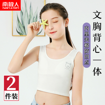 Girl Student Development girl underwear female 13-year-old cotton vest big child girl 12 junior high school students 16 bra