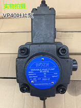 Taiwan Hongzheng Variable Vane Pump VP-SF-20 VP-30FA 3 VP40 Low Pressure Variable VP-SF-40