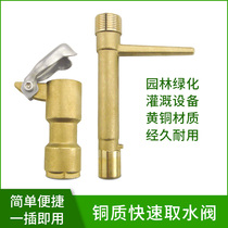 Brass water intake valve 6 minutes 1 inch garden quick water intake lawn garden water intake water pipe ground joint