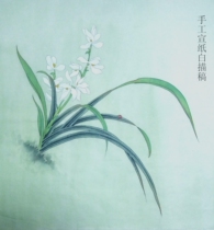 Meticulous painting pure hand hook rice paper white drawing manuscript can be directly colored sketches bluegrass 01 shoot any three