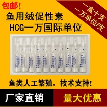 Taiwan Loach oxytocin chorionic HCG fish hormone Ningbo No. 2 factory hatching medication guidance