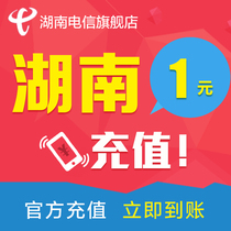 Hunan Telecom phone bill 1 yuan telecom phone charge top-up phone phone charge charge charge charge charge fast charge to the account