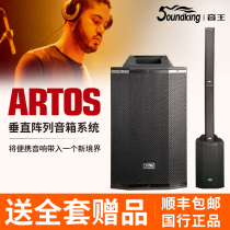 Yinwang ARTOS1200 Multifunctional 12-inch sound column vertical array instrument human voice performance speaker system