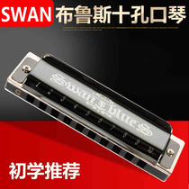 Swan 10-hole blues harmonica diatonic ten-hole C- tone signature custom harmonica