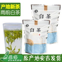 Spot 2021 new tea authentic Anji White Tea 250 grams before rain A first grade A origin spring tea rare green tea bulk
