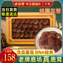 Idew Antler Slice Dry Antler Whole Root Slice Dried Blood Slice Red Powder Slices of Pot Broth Water Bubble Wine Chinese Herbal Medicine Gift Box