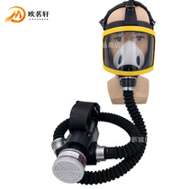 Charging portable electric auxiliary air supply gas mask long tube respirator gas filter dust full mask mask mask