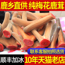 Jilin Shuangyang 2021 fresh pilose antler pruning fresh bloody pilose antler slices soaked in wine and soaked in water with red powder slices wax