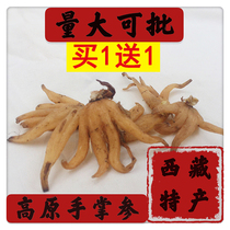 Tibet specialty grade wild bergamot ginseng five finger ginseng hand palm ginseng Wangla traditional Chinese medicine powder a total of 250g Yin and Yang grass