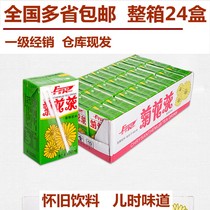 Dongpeng chrysanthemum tea drink full box 24 boxes a box of ready-to-drink thirst quenching summer Guangdong summer frost chrysanthemum Dongpeng special drink drink