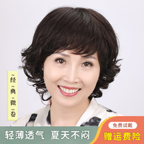 Wig short hair female mother real hair full head cover middle-aged and elderly lady real hair silk full real hair natural wig set