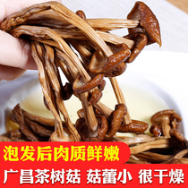 Farmhouse tea Mushroom Dry Goods 500g Not open umbrella Guangchang No sulphur Smoked fresh tea Dried Goods Mushrooms