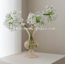 Shinymomo Tulip bottle flower arrangement living room ornaments transparent Korean ins glass vintage vase