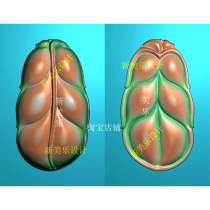 Fine carved picture leaf double-sided pendant with the shape of the leaf on both sides of the jade carving picture JDP peak rain scanning picture flower piece