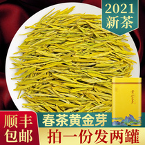 Authentic Golden Bud Tea 2021 New Tea Super Anji White Tea Ration Green Tea 250g Gift Box Canned
