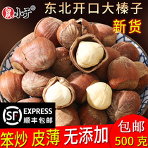 Rat less than Northeast specialty fresh open big hazelnuts New thin skin original hazelnut nuts 500g special offer