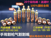National Standard Gas Torch Cutting Mouth Shanghai Morimoto G01 G07-30 100 300 Oxygen Propane Acetylene Cutting Mouth
