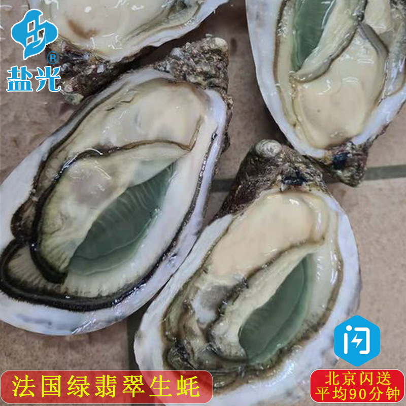 法国绿翡翠生蚝5只装原装生蚝水产贝壳牡蛎N1N2非吉拉多朵