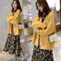 Korean pregnant women autumn suit fashion out autumn Net red two-piece New pregnant women dress spring and autumn