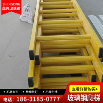 Can protect chimney acid-alkali iron steel deep well FRP ladder circle straight ladder cage anti-climbing ladder insulation corrosion pit welding