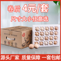 Pearl cotton egg tray special packing box send egg packing box shockproof drop box gift box egg tray