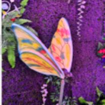 Translucent stone FRP butterfly outdoor waterproof neon garden lawn decorative light led landscape light manufacturer