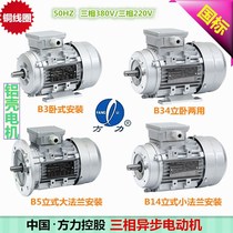 China Fangli aluminum shell motor Copper wire YE2 three-phase asynchronous motor National standard 380V0 37 0 75 1 1KW