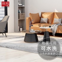 Hongjia aesthetic carpet living room bedroom Nordic simple modern sofa Israel original imported household tea table blanket