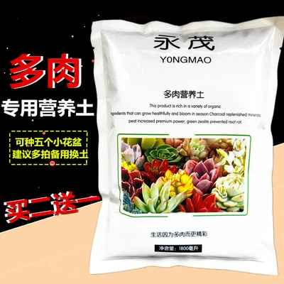 Добавить суккулентное питание растений.