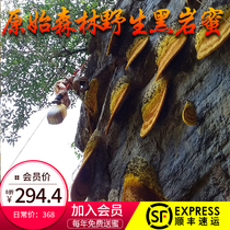 (Good morning bees) Wild cliff honey rock honey rock honey rare variety Shun Feng