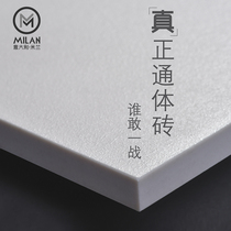 Guangdong Foshan all-body ceramic tile 600800 living room floor tile matte pure white plain color micro-cement bathroom wall tile