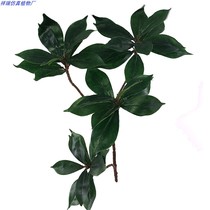 New green plant simulation thick skin fragrant leaf Arbor safflower camellia leaves dead tree wild Ruixiang leaf decoration decoration sales