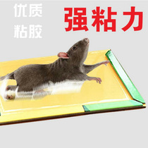Super strong sticky mouse board Mouse stick rat exterminator Household catch big mouse rat trap Mouse glue to drive out the mouse board